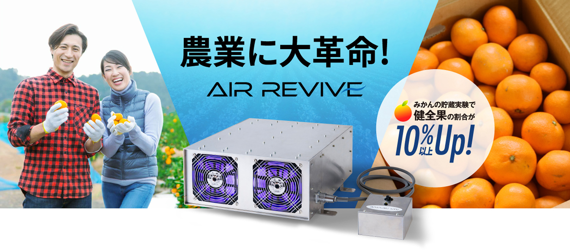 AIR REVIVEみかんの貯蔵実験で健全果の割合が10%以上Up!